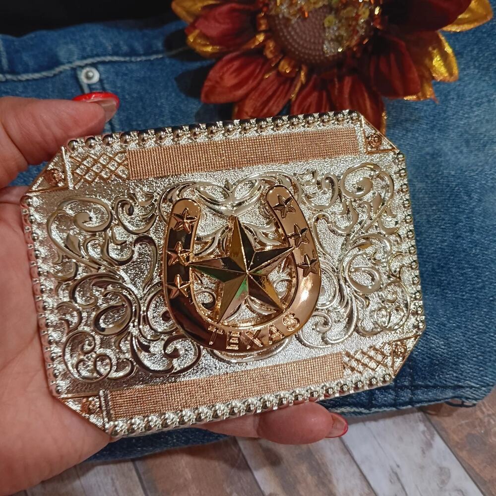 Horseshoe Star Western Belt Buckle Silver Rosetone Texas Style Cowboy Buckle